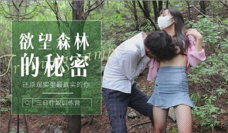 森林秘密 - 最真实，最真实。