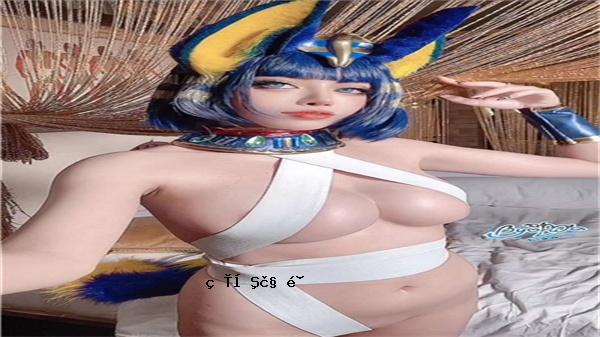尘猫