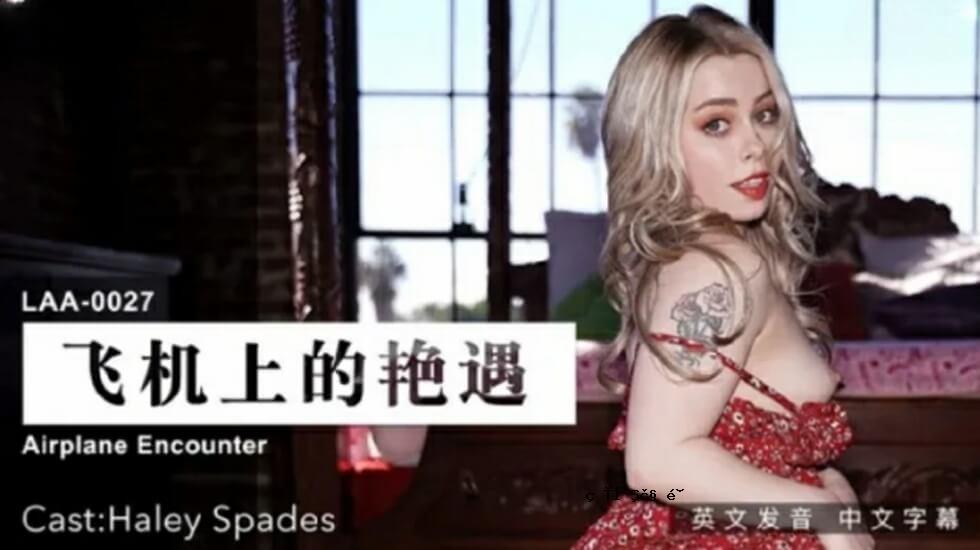 计划者的治疗