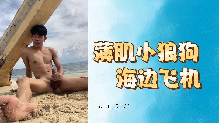 浅皮肤的Syaoran狗海面