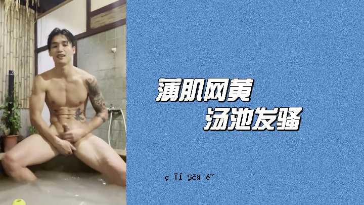 轻质皮肤网，黄色池塘
