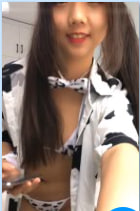 小猫的舞蹈
