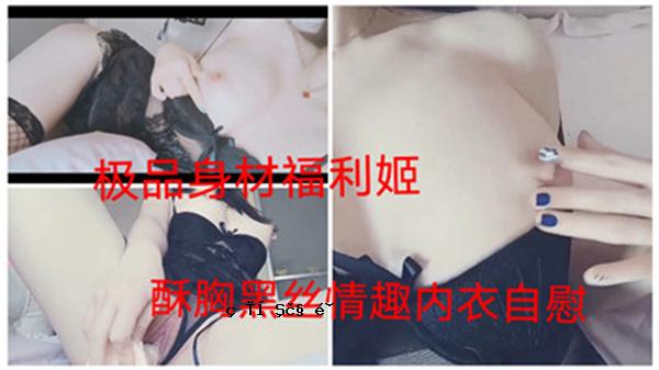 身体的身体材料，适合乳房，黑色窗扇，身体内部