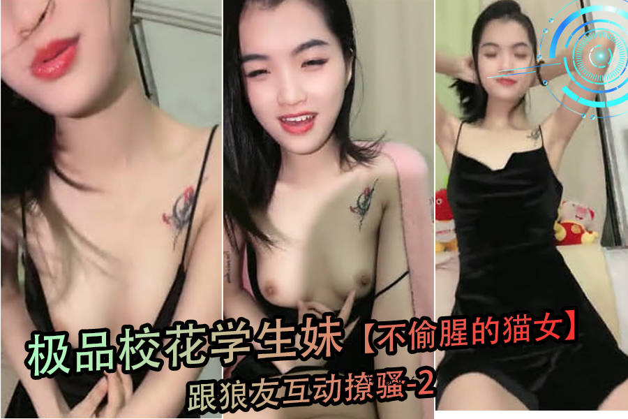 一个不是一个奇异的猫女人和狼的朋友