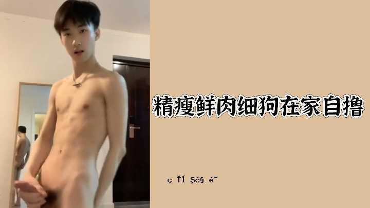th动的肉和狗外行