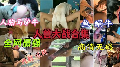 伟大的战斗合集